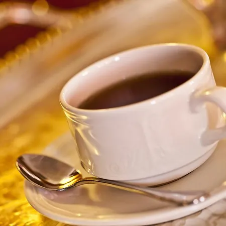 فندق Alpina & Savoy