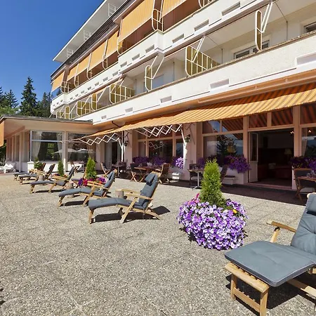 Alpina & Savoy Crans-Montana