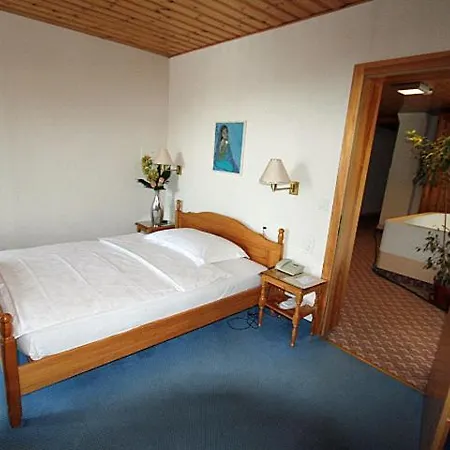 Hotel Alpina & Savoy